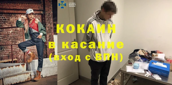 крисы Богородицк