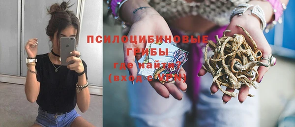 метамфетамин Белокуриха